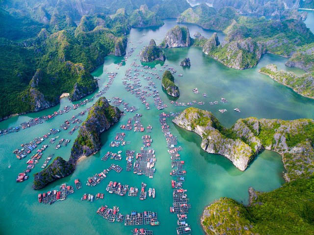 Cat Ba - Where forests, mountains and seas become one