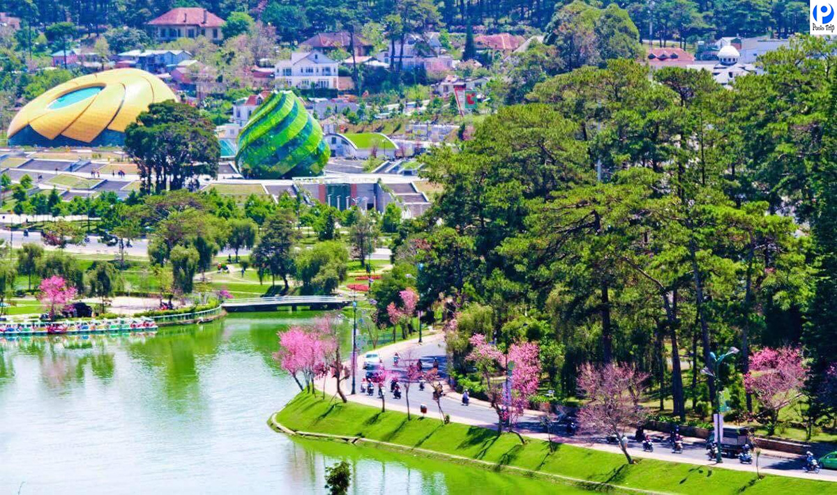 Da Lat - The poetic city of thousands of flowers
