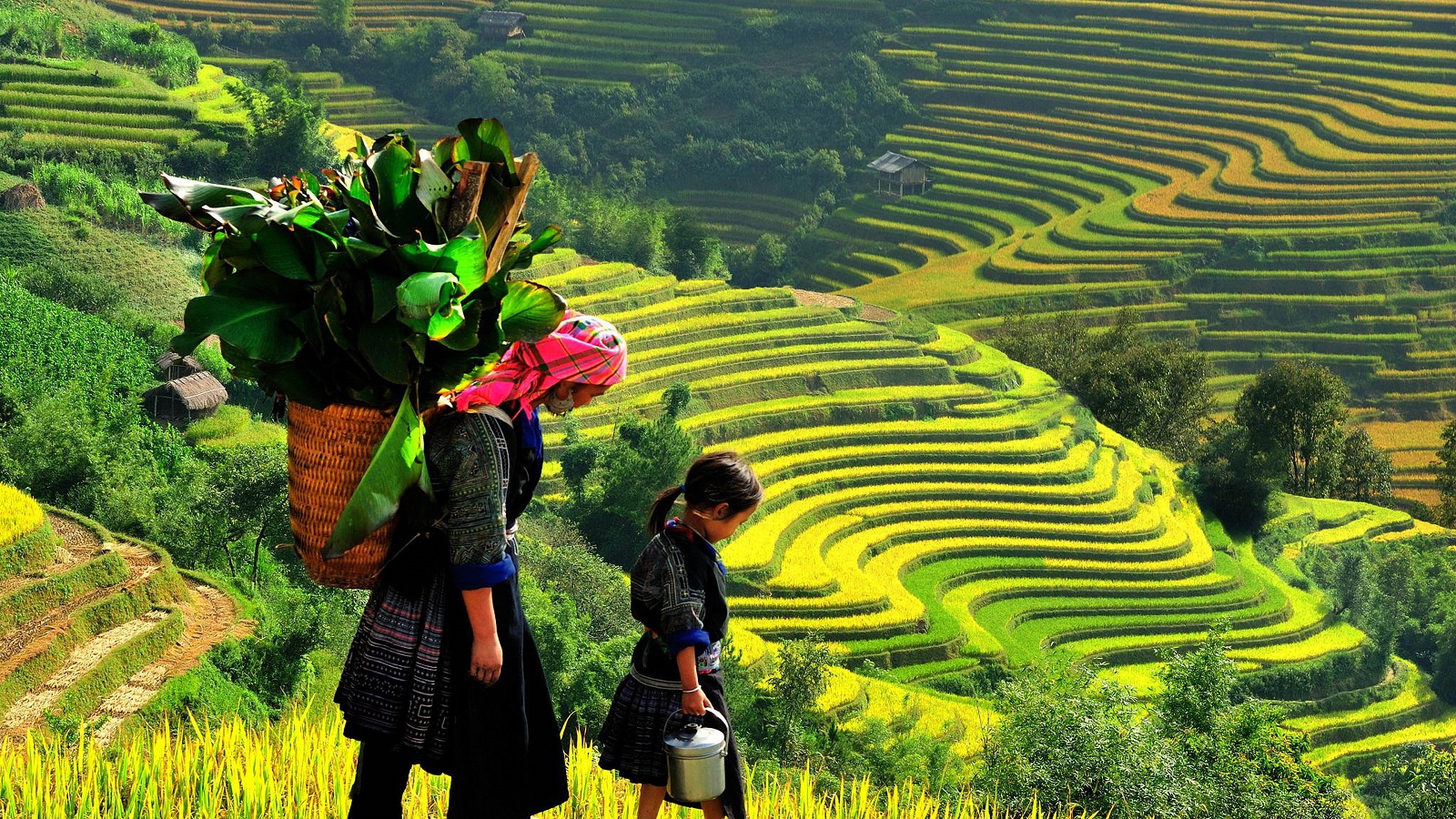 Ha Giang - Return to majestic nature