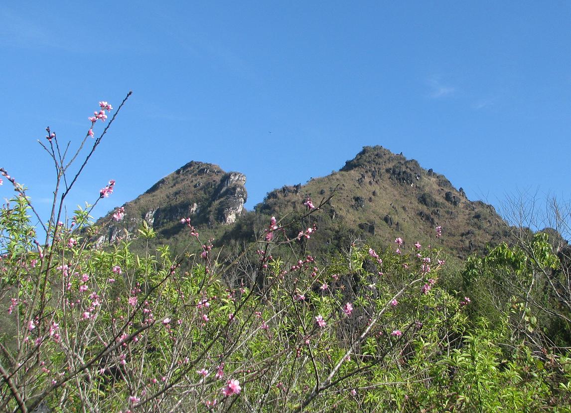 Hàm Rồng Mountain Sa Pa