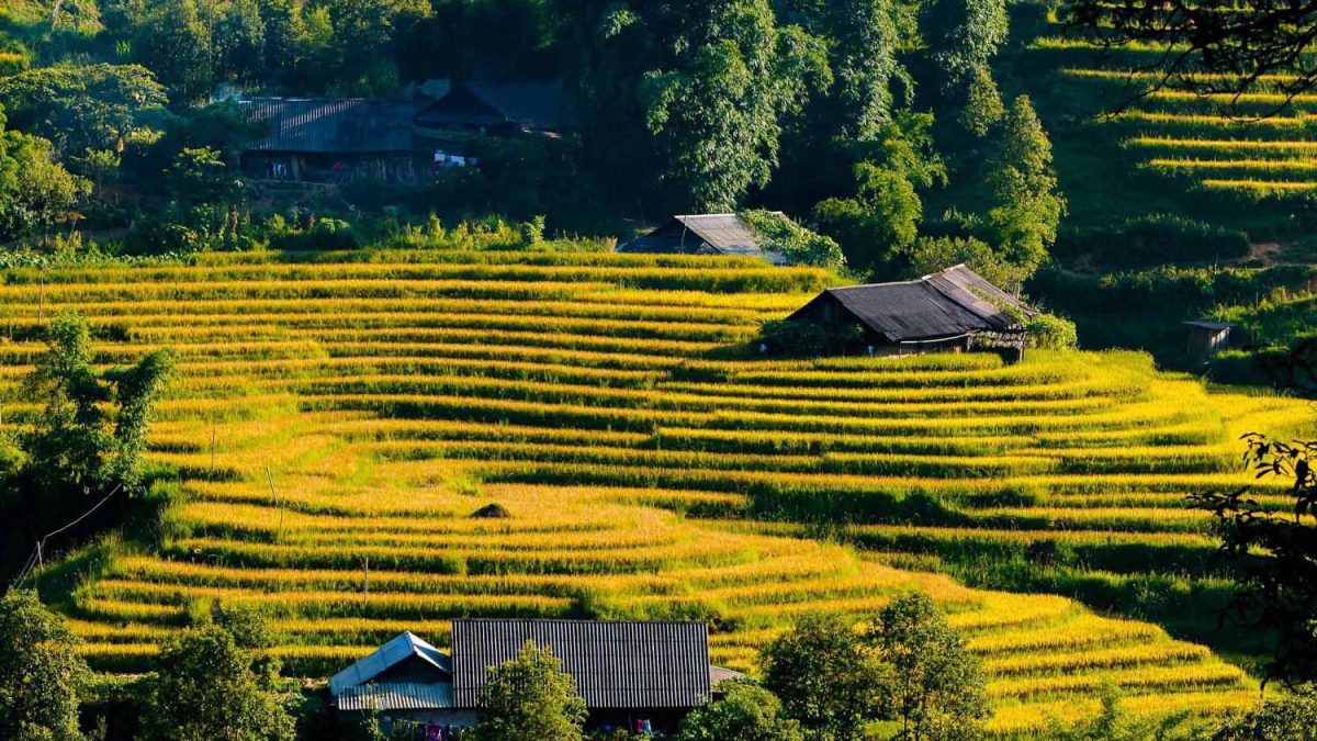HOT Tourist Attractions in Sapa