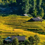 HOT Tourist Attractions in Sapa