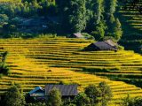 HOT Tourist Attractions in Sapa