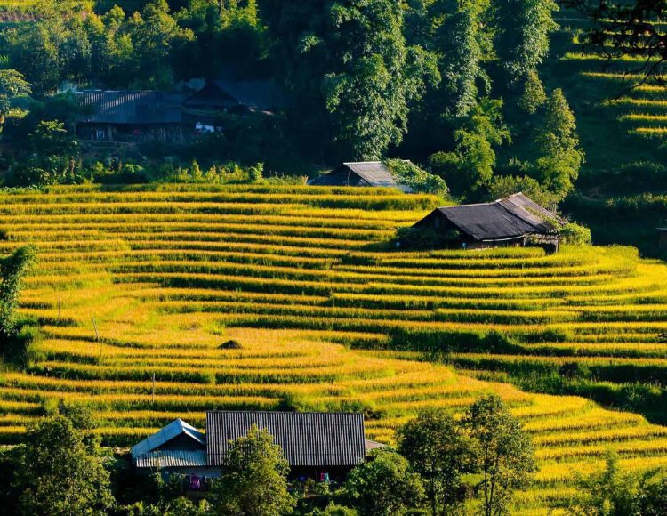 HOT Tourist Attractions in Sapa