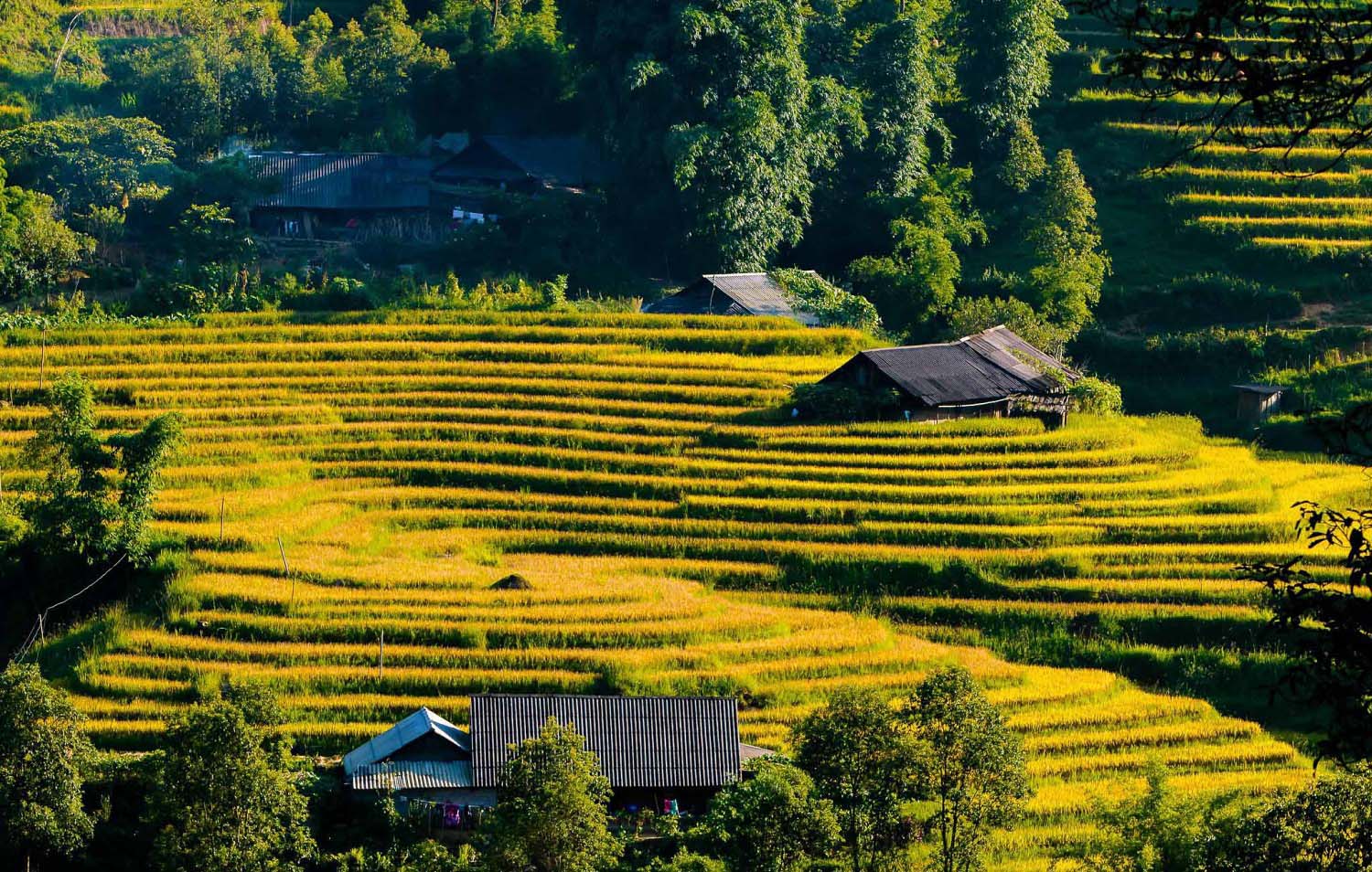 HOT Tourist Attractions in Sapa